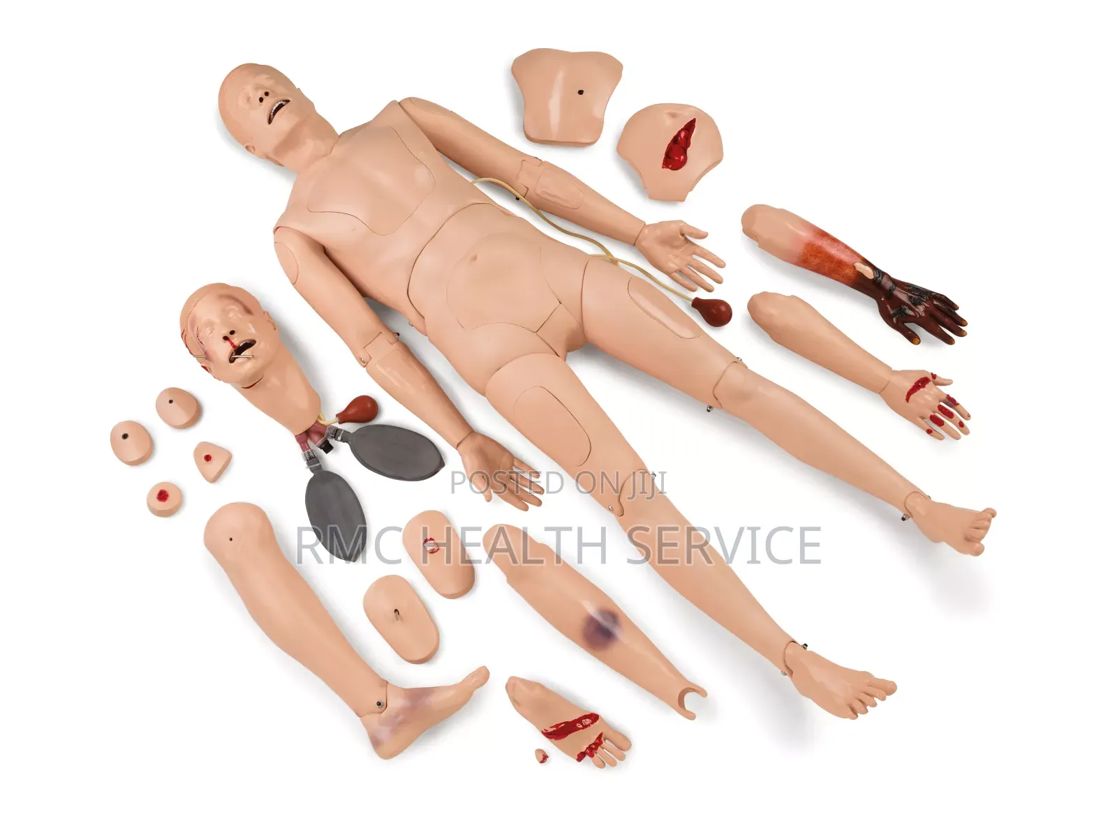 Model Unisex Training Dummy