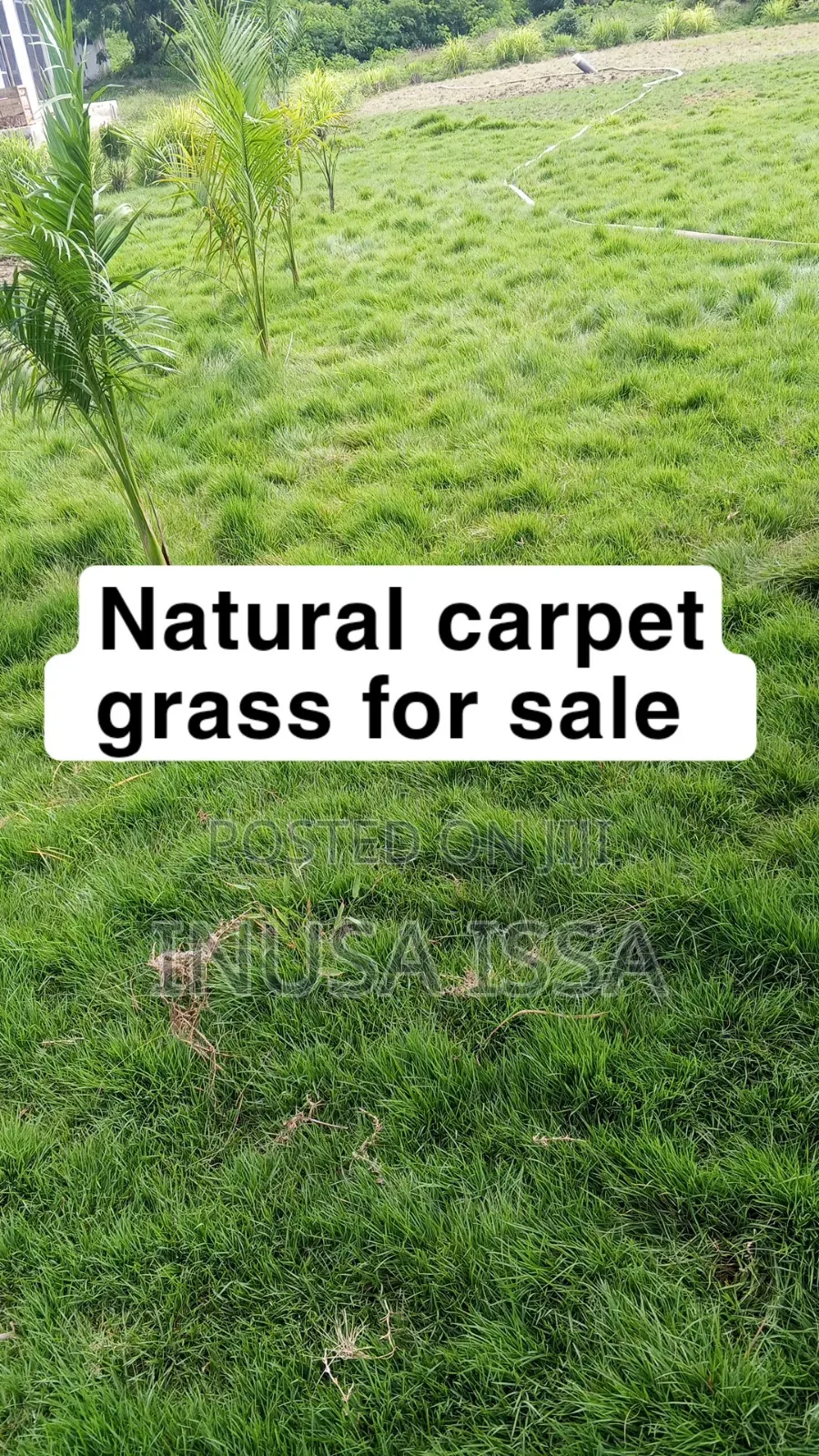Hultocure, Gardiner Services and Equipment , Selling of Burmuda Grass