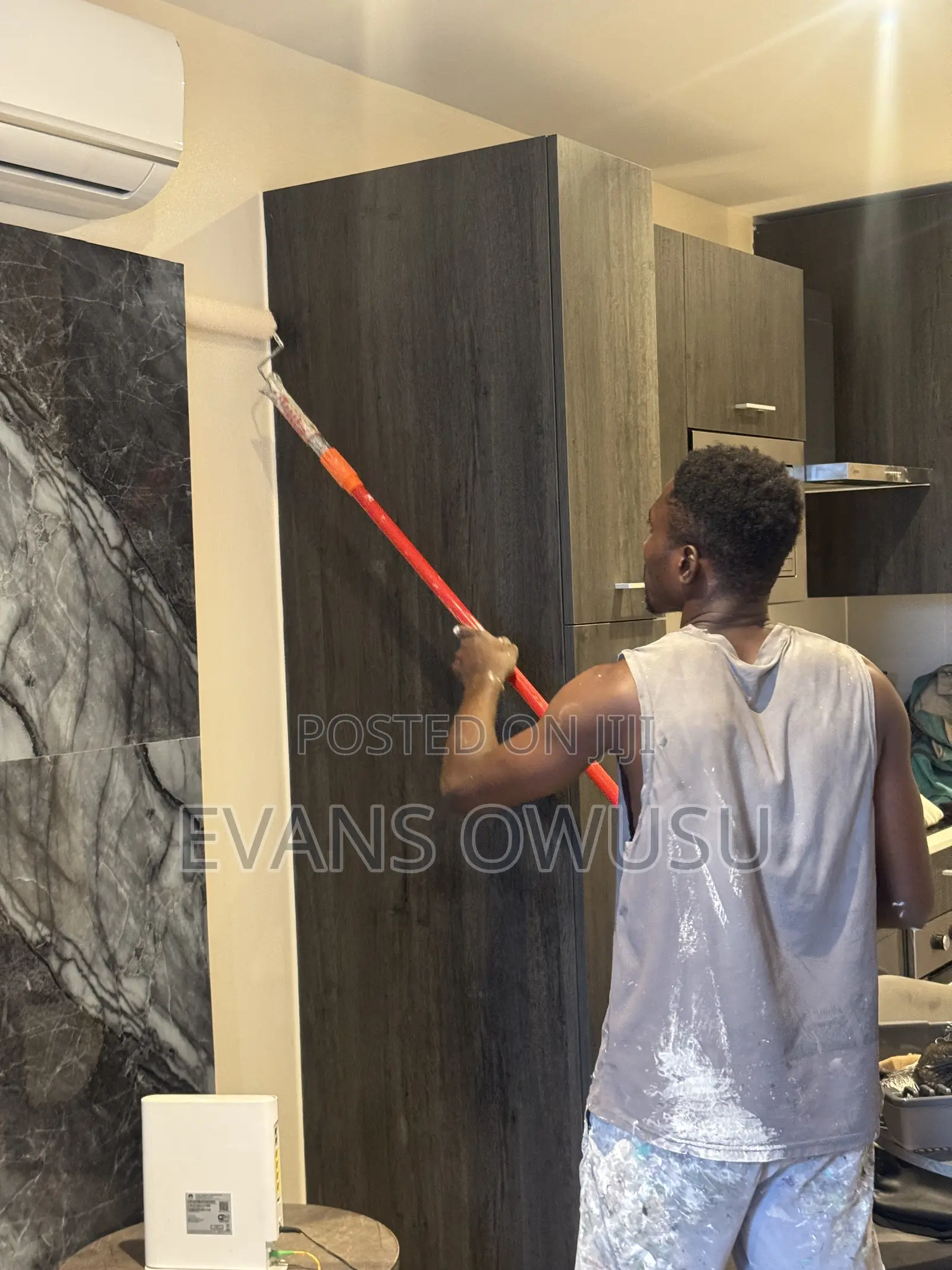 Professional Painter