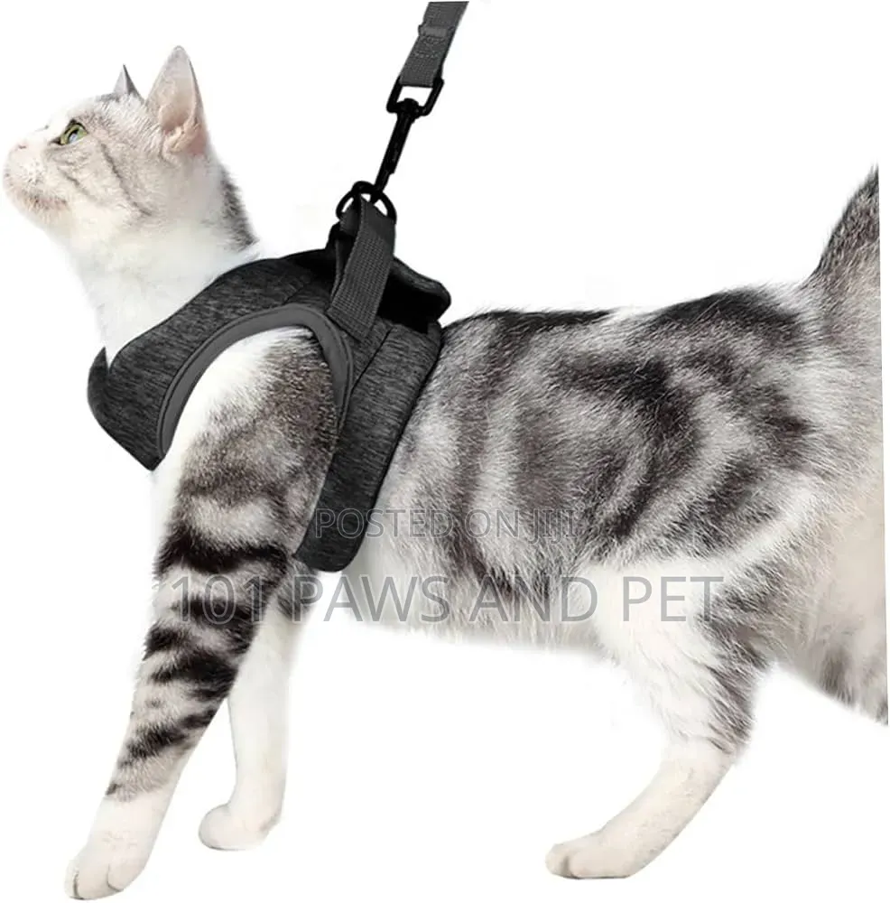 Dog / Cat / Rabbit Escape-Proof Harness Adjustable Vest Pet