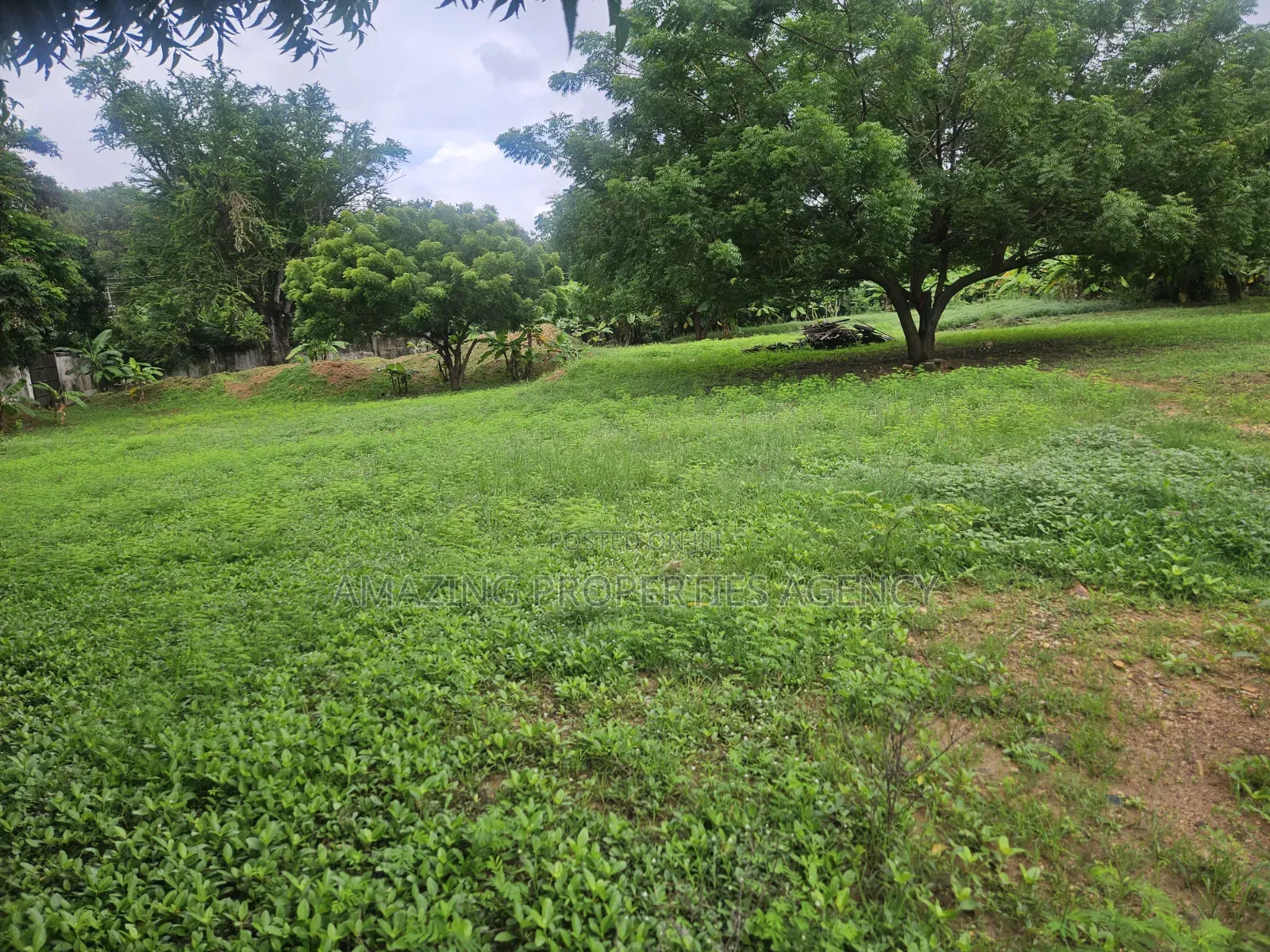 A 5.89 Acres of Main Roadside Commercial Land for Sale at the Airport