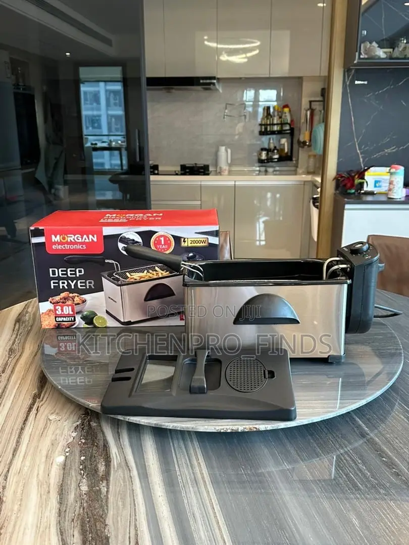 Electric Deep Fryer