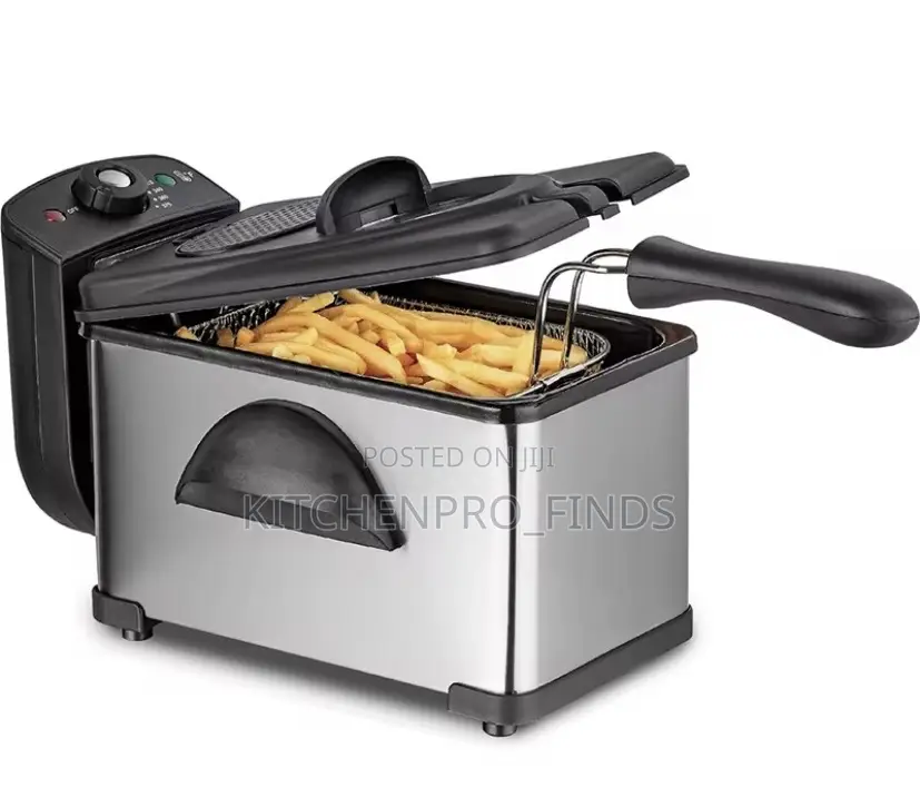 Electric Deep Fryer