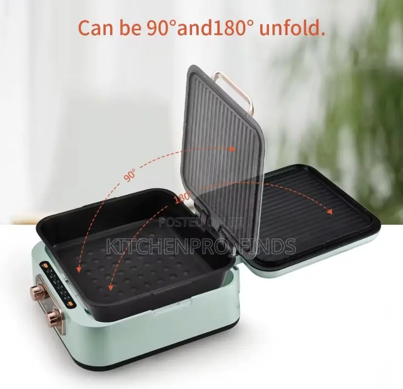 Multi Functional Electric Grill Cooker