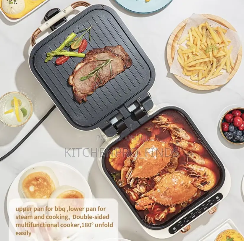 Multi Functional Electric Grill Cooker