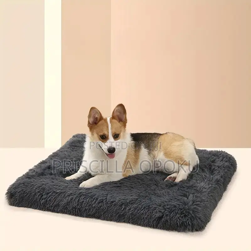 Plush Dog Bed Mattress (Large)