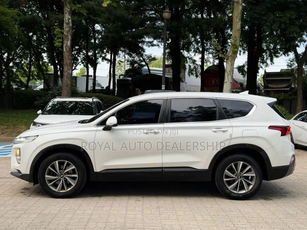 Hyundai Santa Fe 2019 White