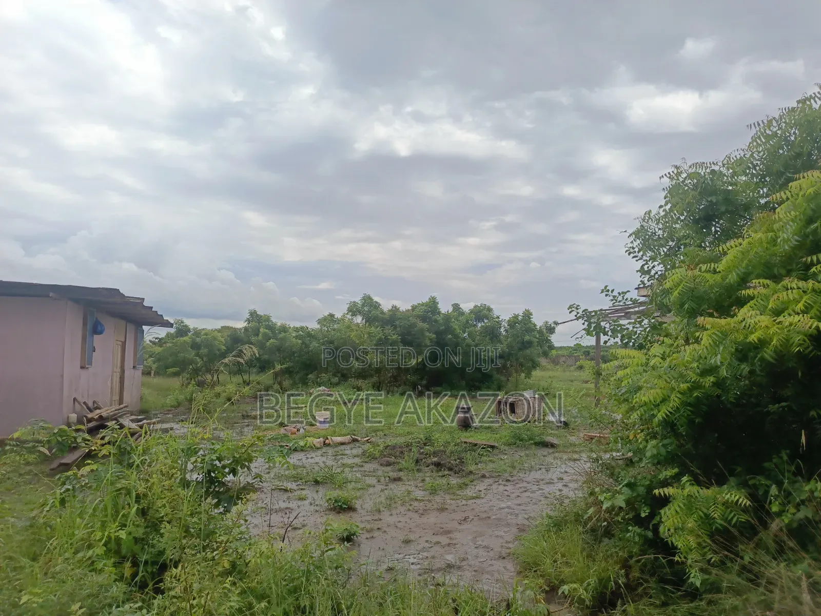 25 Acres Farm Land at Kintapo for Sale