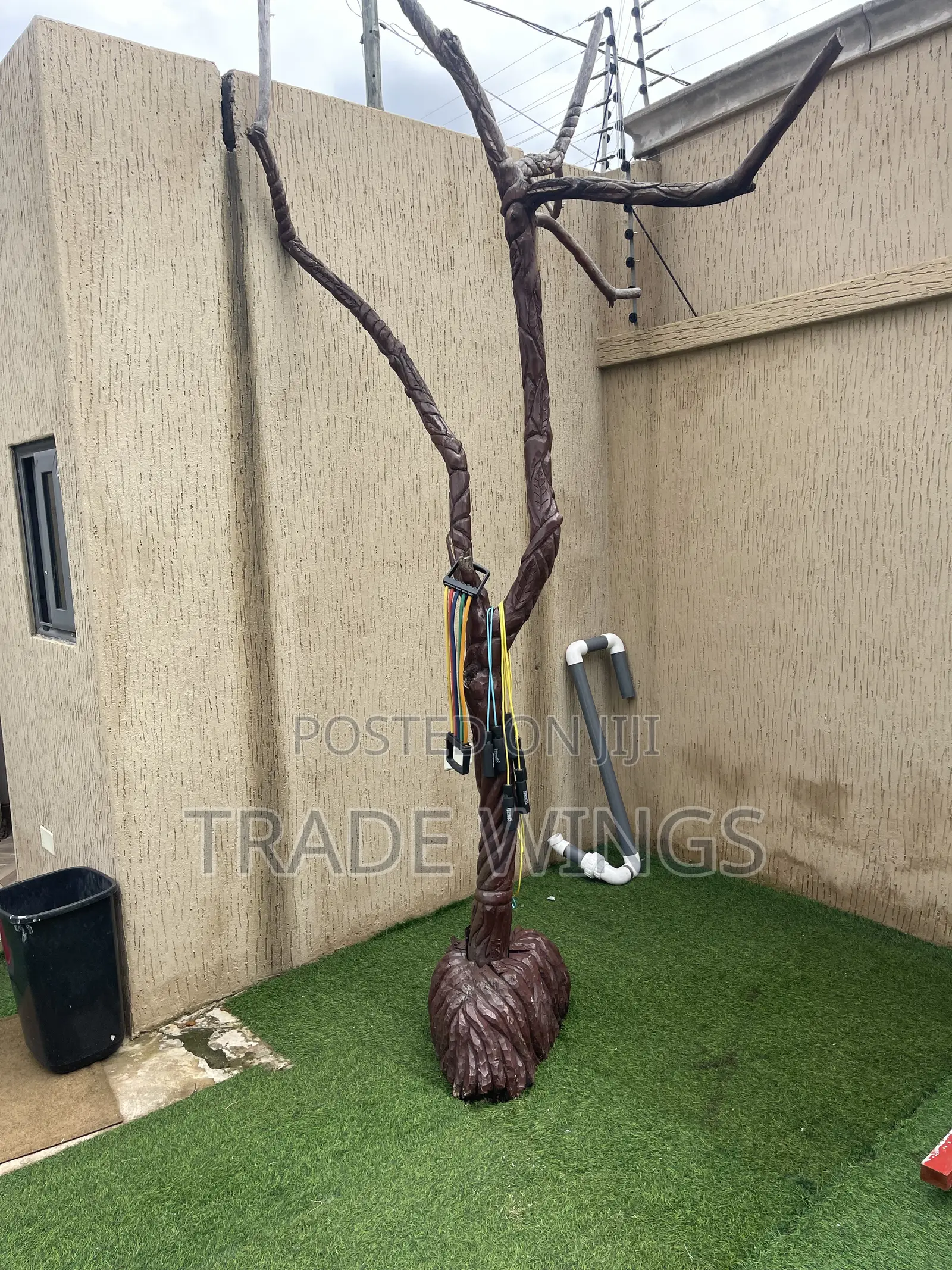 Brown Tall Tree for Sale