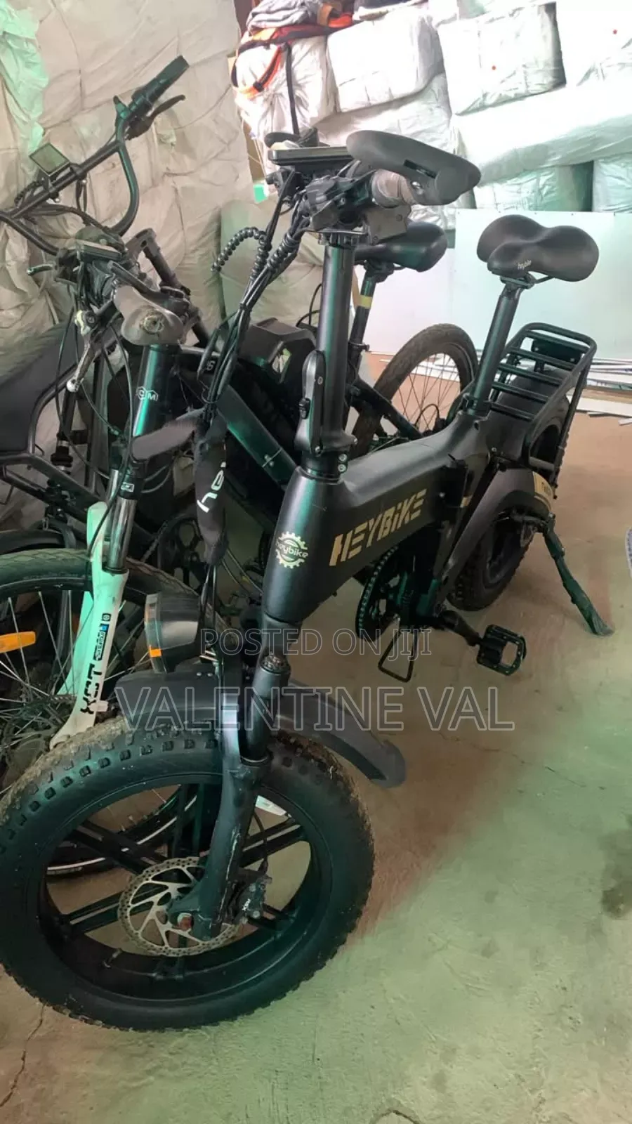 Electric Bicycle Working Perfectly