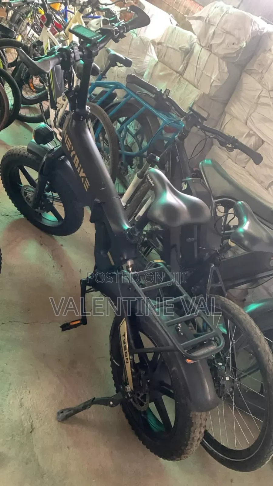 Electric Bicycle Working Perfectly