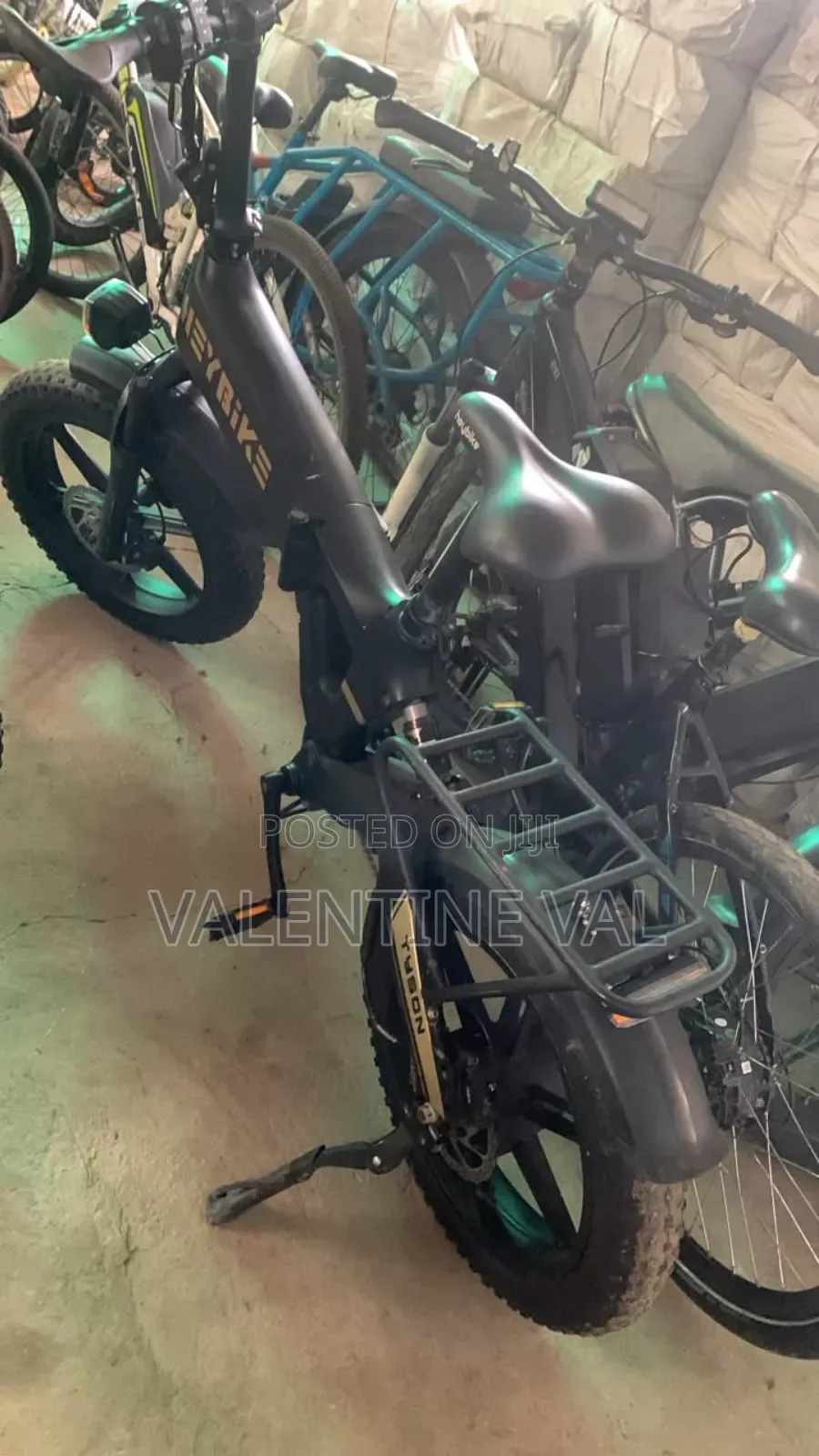 Electric Bicycle Working Perfectly