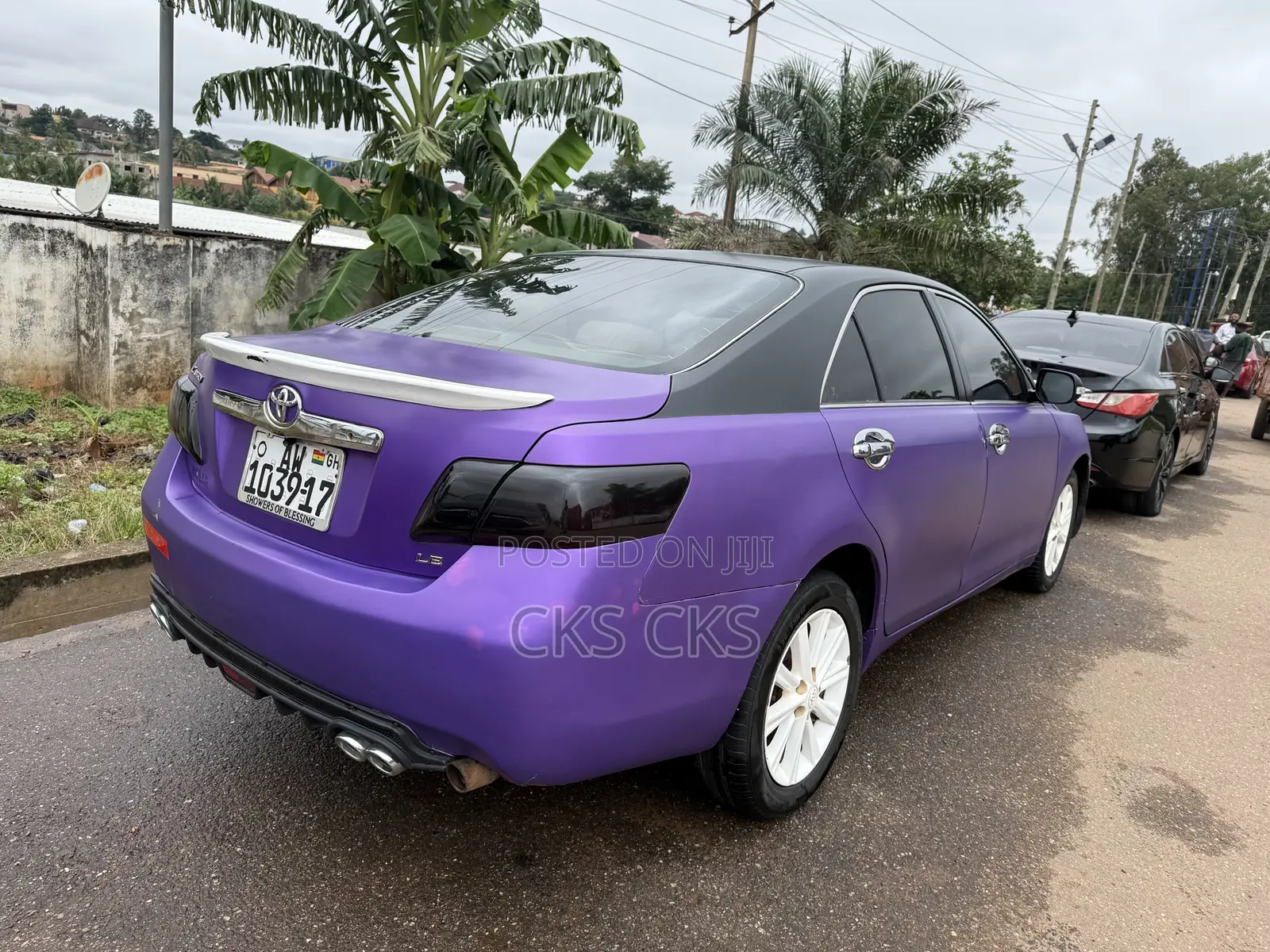 Toyota Camry 2010 Purple