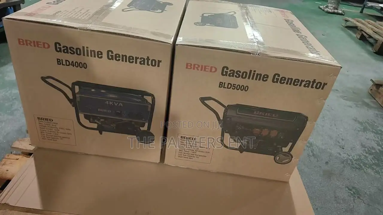 Bried Gasoline Generator