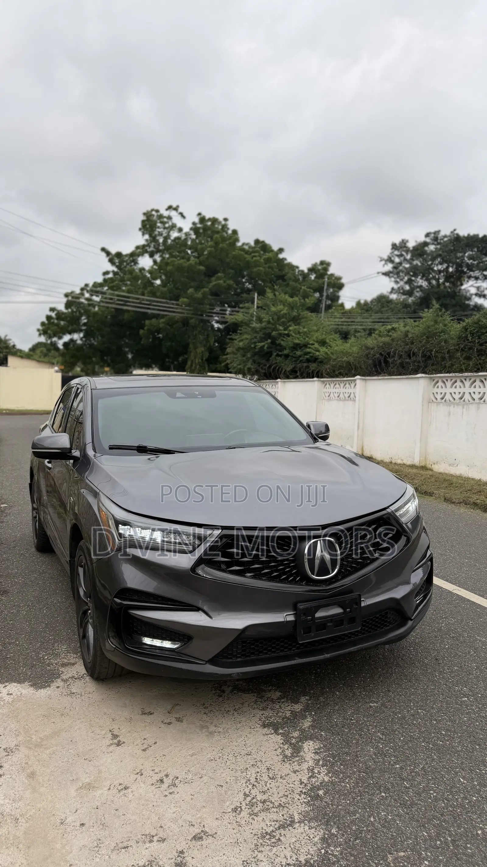 Acura RDX Advance Pkg SH-AWD 2020 Gray