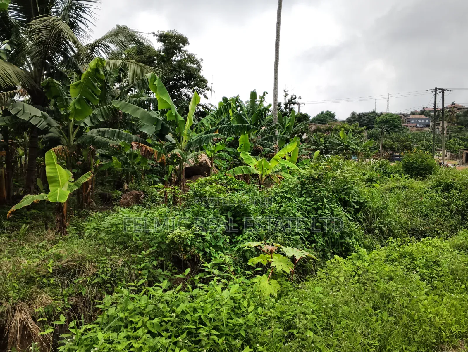 1 Plot of Land at Aburi for Sale
