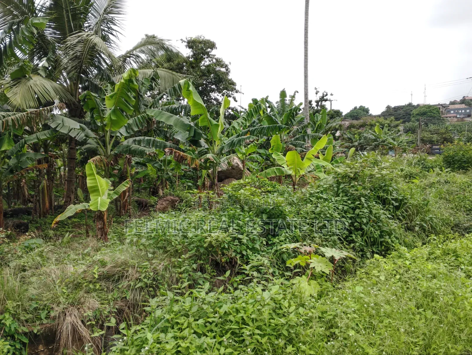 1 Plot of Land at Aburi for Sale