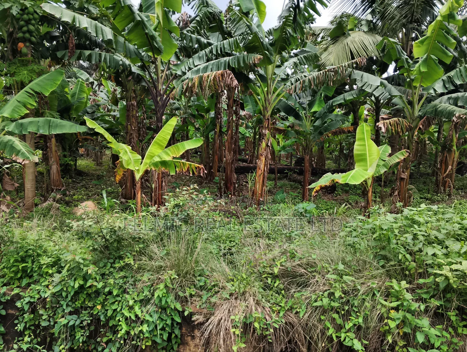1 Plot of Land at Aburi for Sale