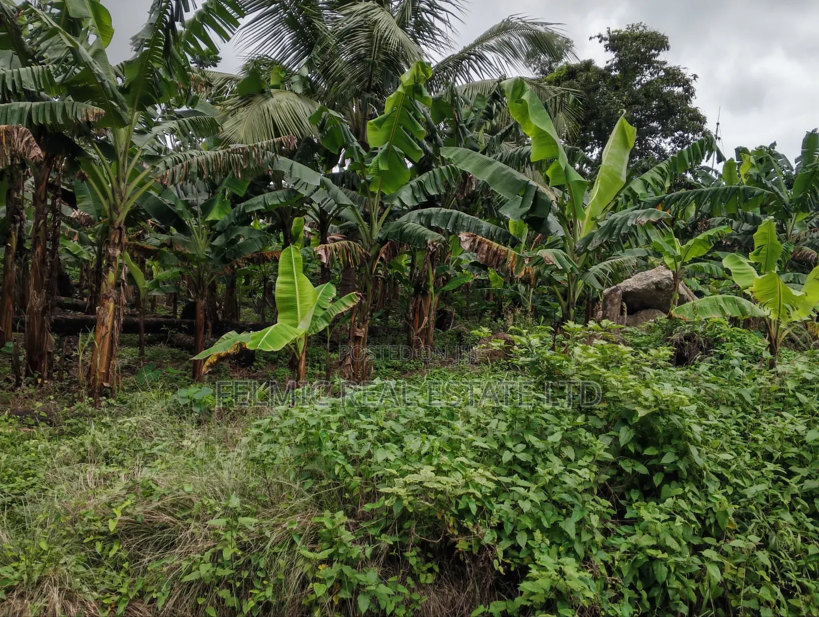 1 Plot of Land at Aburi for Sale