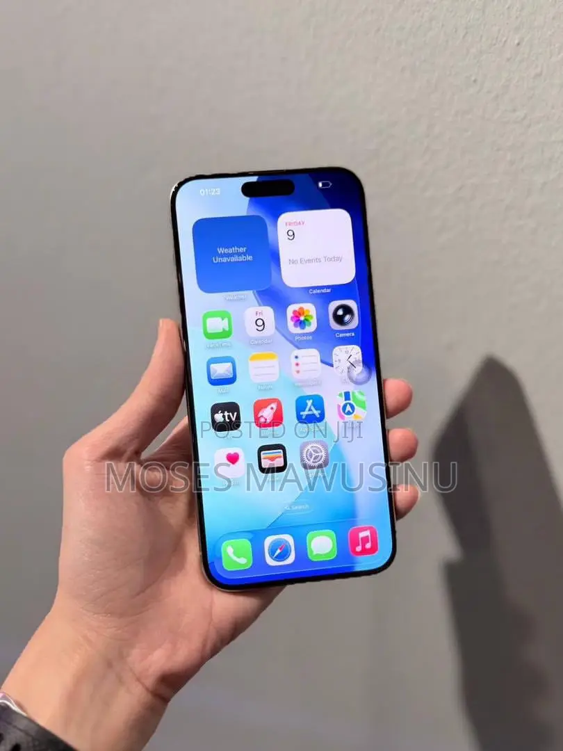 Apple iPhone 15 Pro Max 256 GB Gray