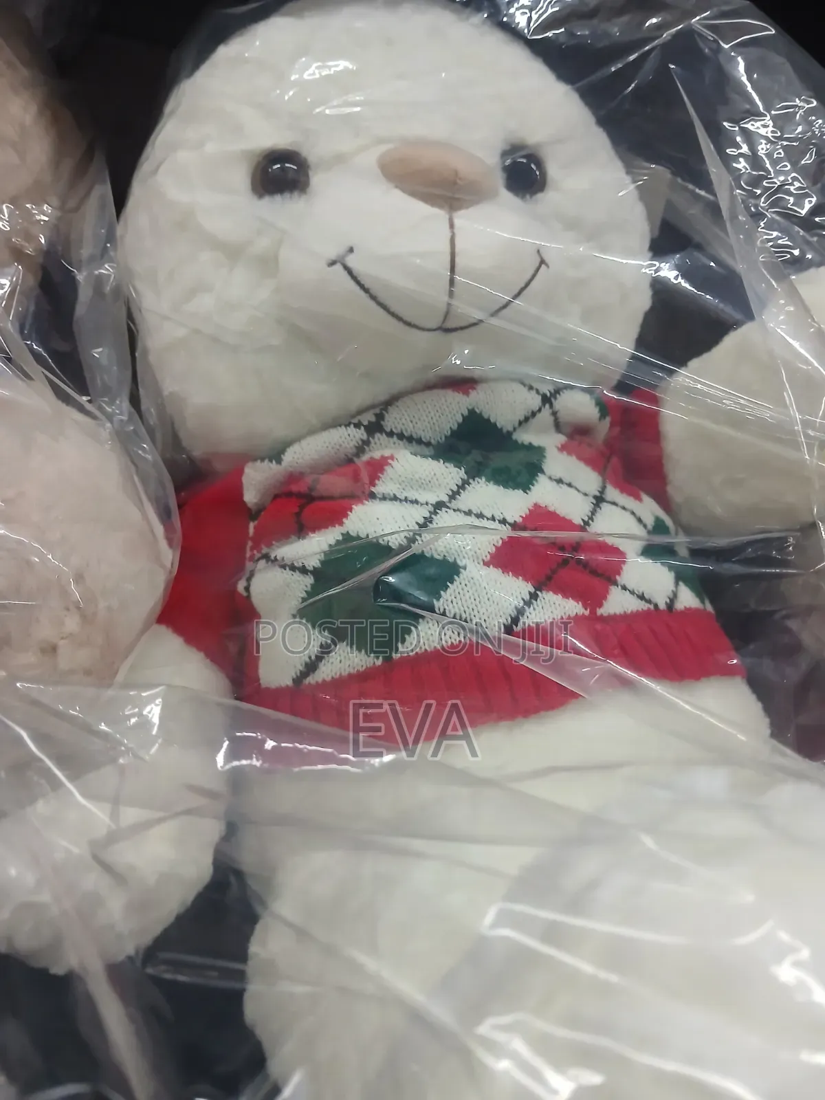 Teddy Bear