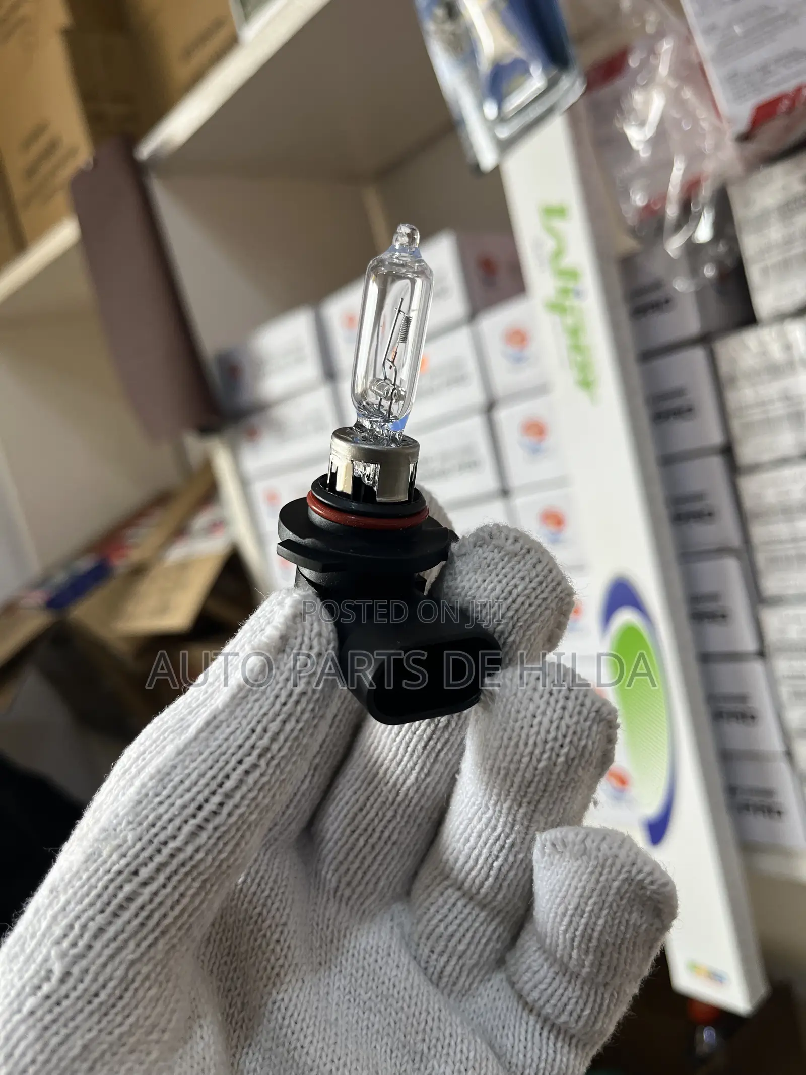 Original H4, H11, 9005 12v 60/55w Halogen Bulbs