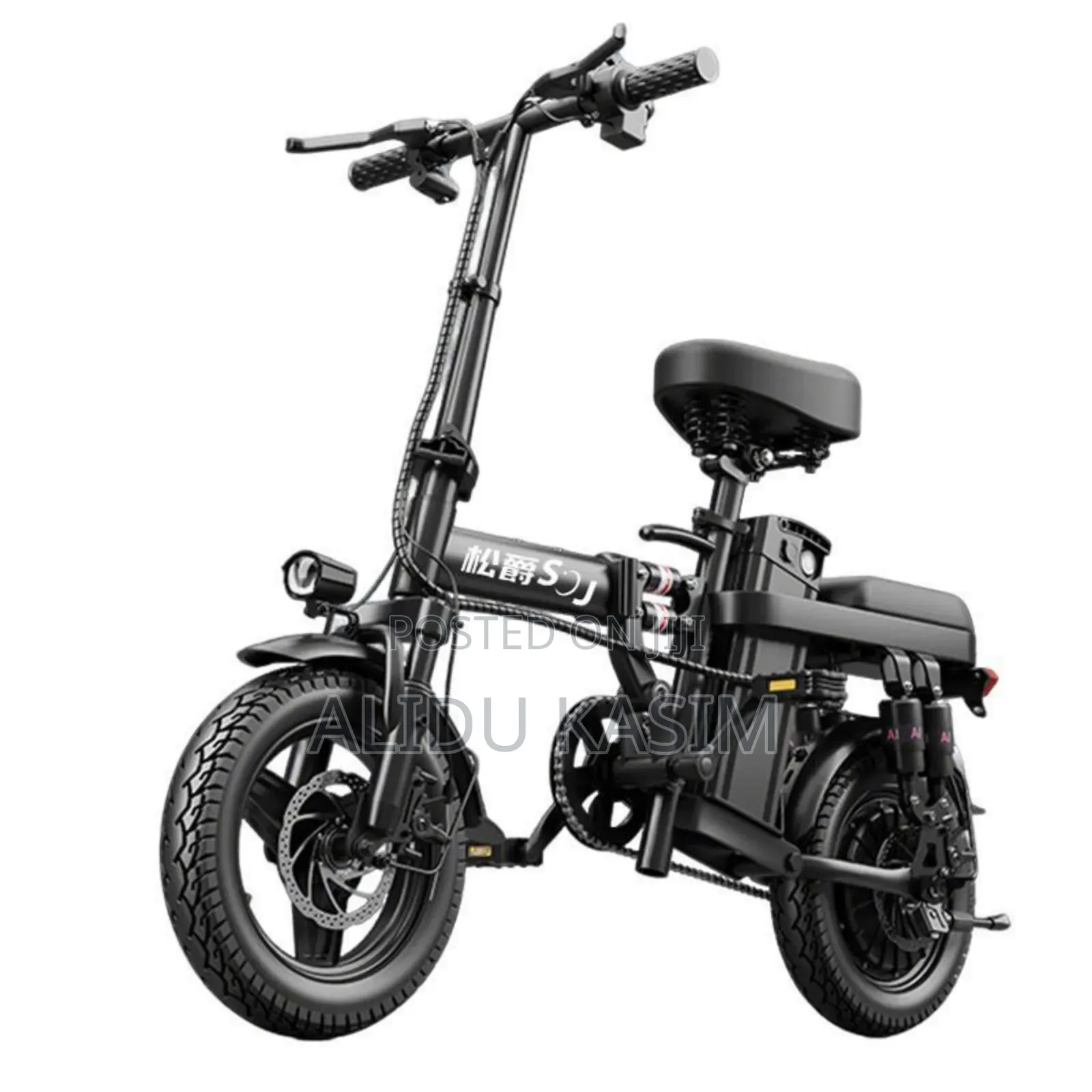 Foldable Electric Bike