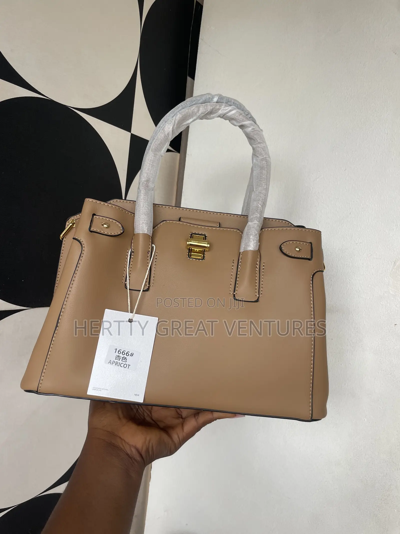 Ladies Handbag