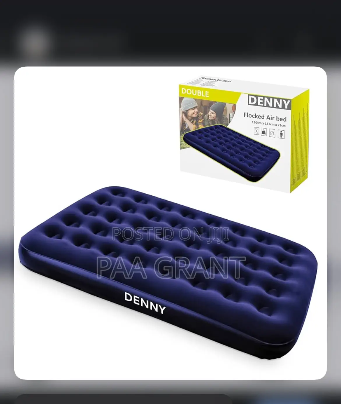 Quick Set Up Great Comfort (Inflatable Air Mattress Plus Free Pump