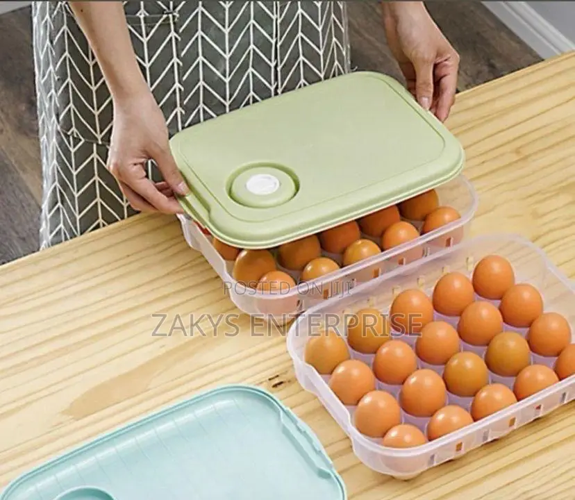 Plastic Egg Storage/Egg Crate