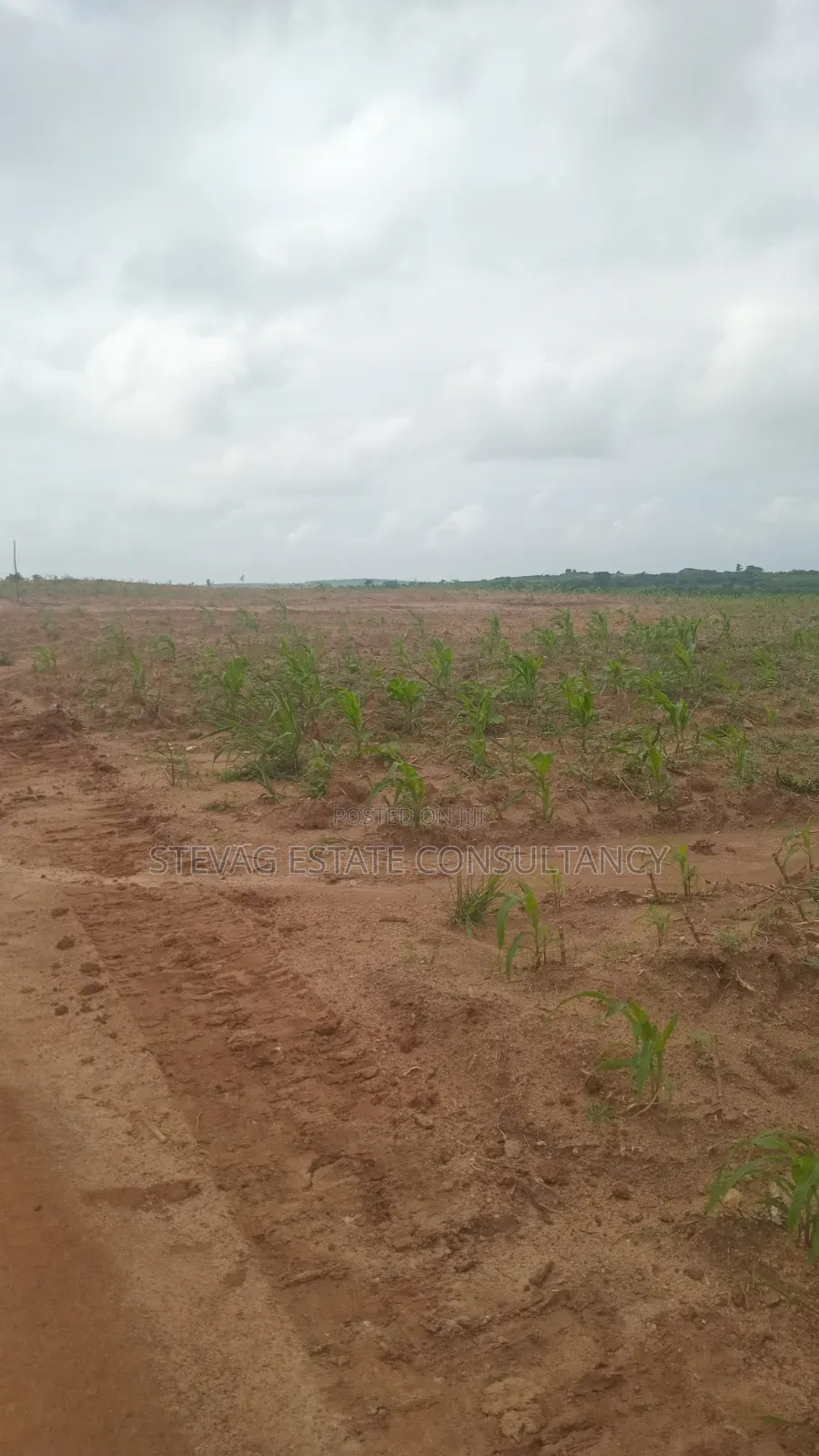 Genuine Estate Company Land for Sale at Nsawam Ayibontey