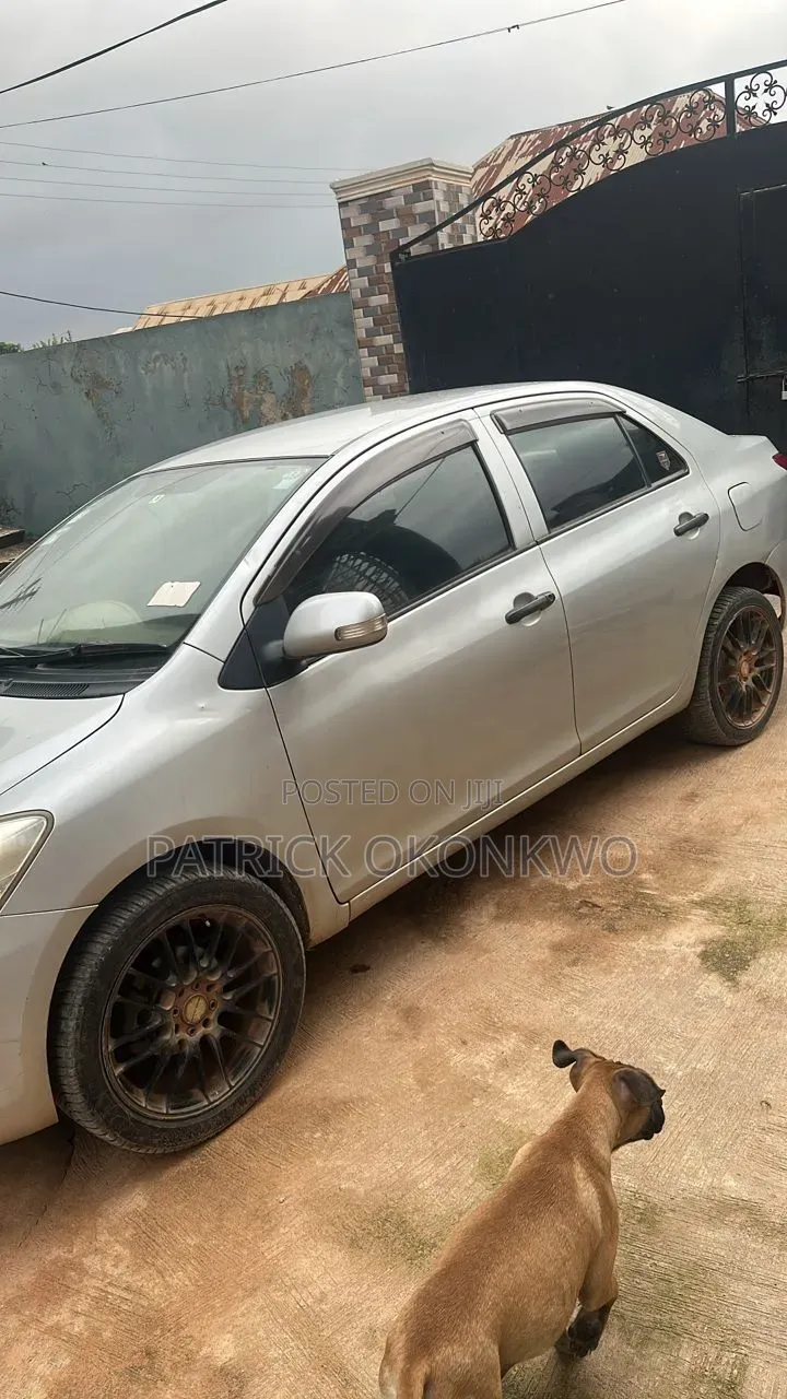Toyota Belta 2009 Gray