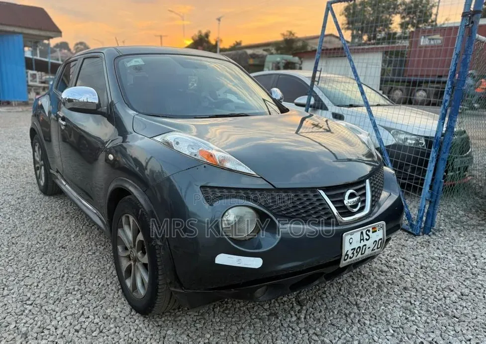 Nissan Juke 2011 Gray