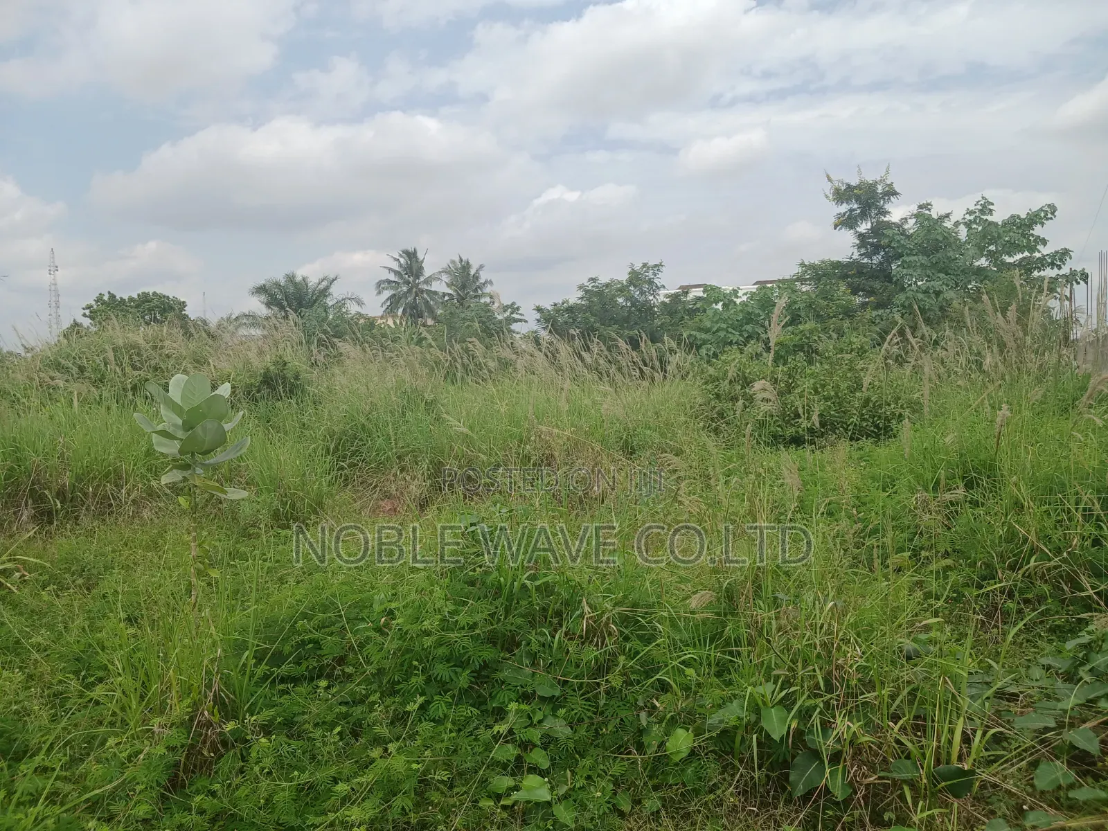 1 Acre Land for Sale at Ridge