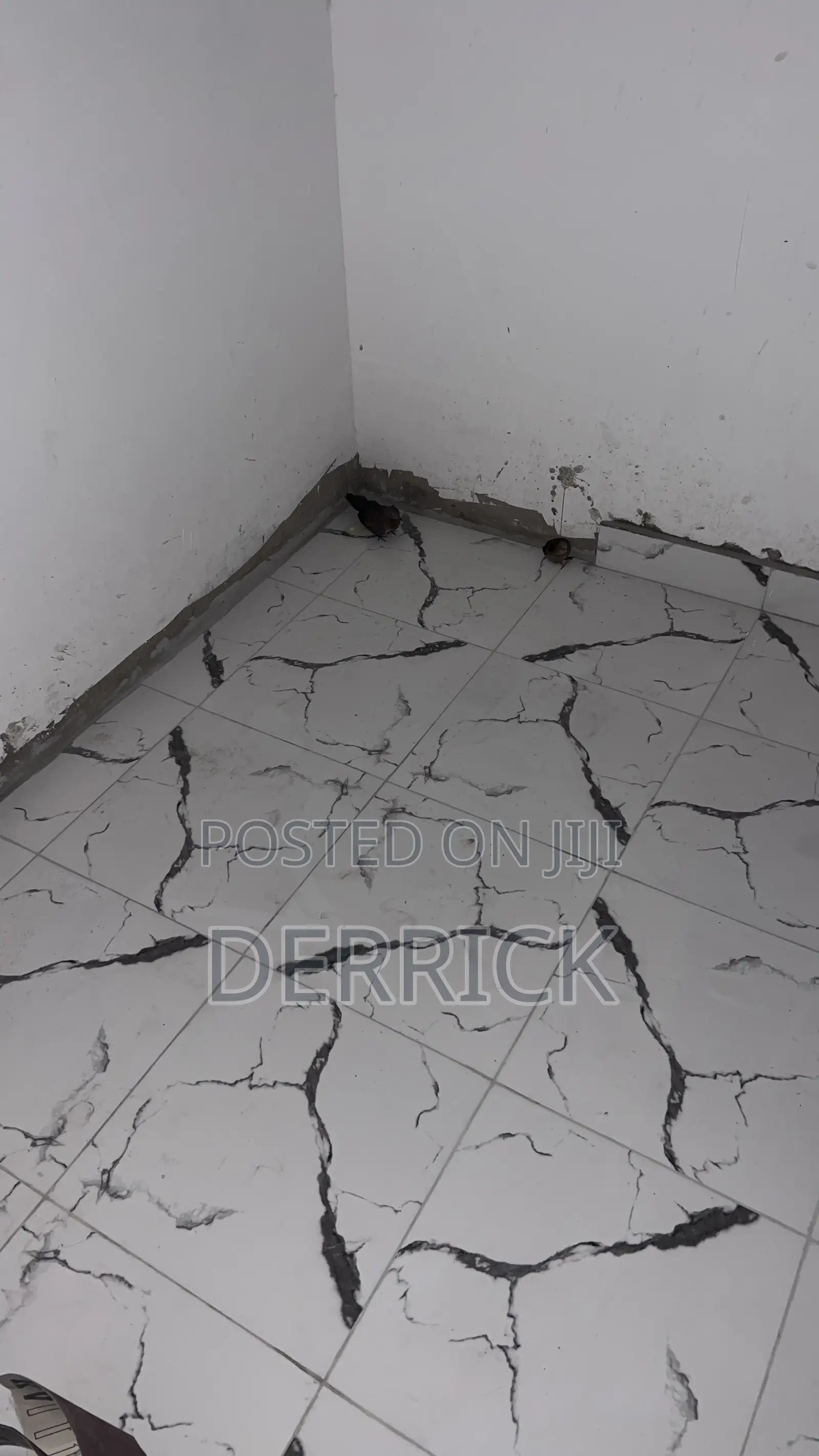 Best Professional Tiler in Ghana | Expert Tiles Installers