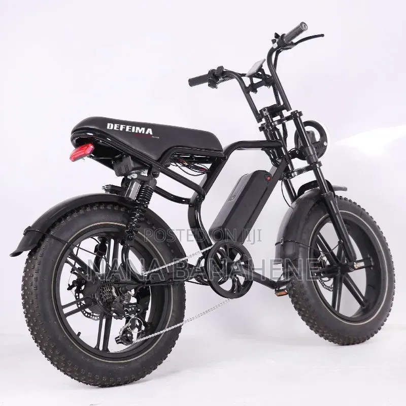Defeima 20ah Electric Bike Perfect Delivery Bike