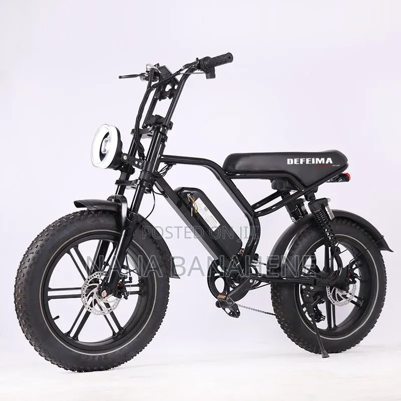 Defeima 20ah Electric Bike Perfect Delivery Bike