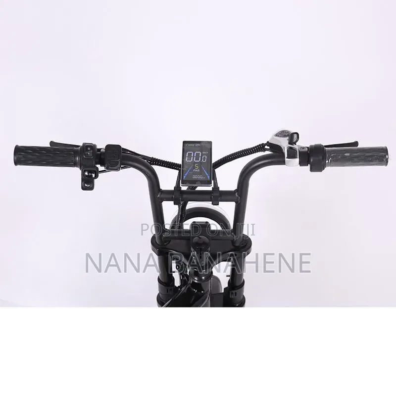 Defeima 20ah Electric Bike Perfect Delivery Bike
