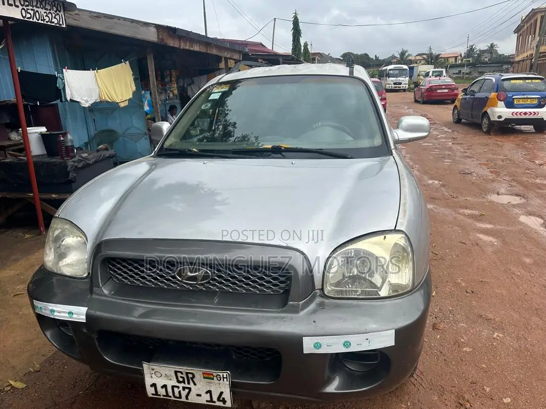 Hyundai Santa Fe 2005 Silver