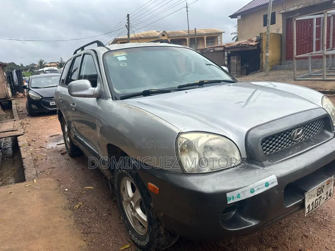 Hyundai Santa Fe 2005 Silver