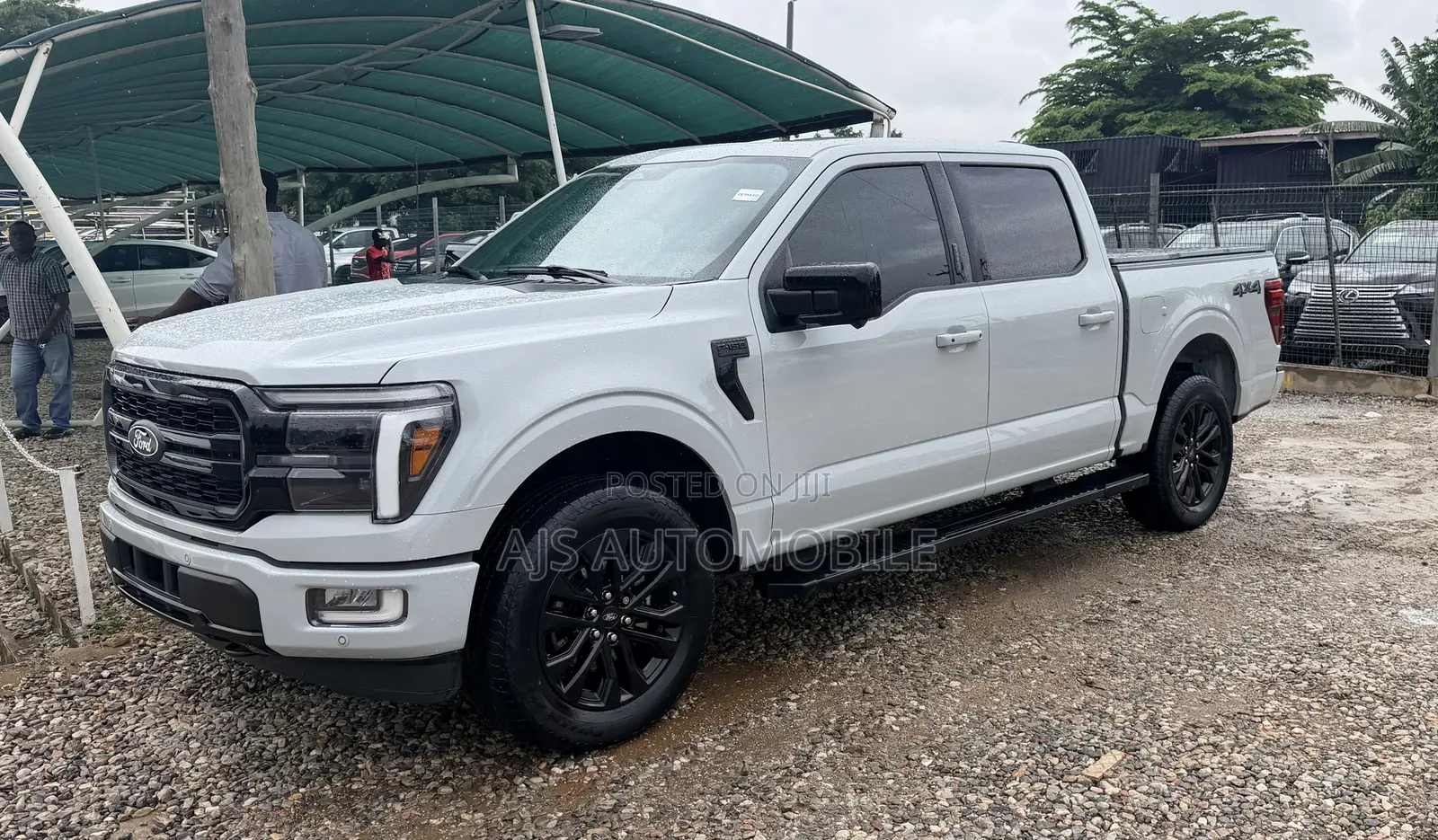 Ford F-150 LARIAT 2024 Gray