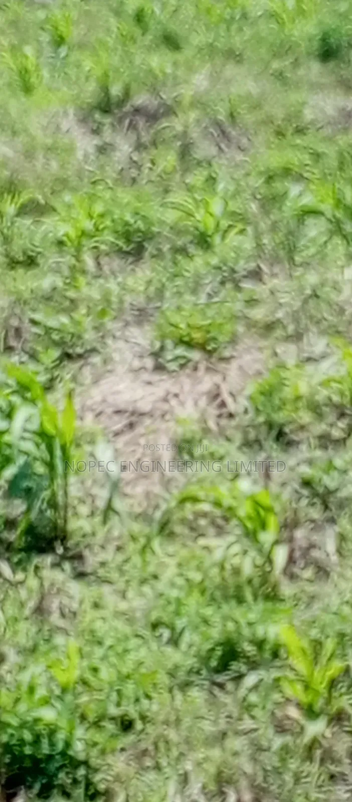 Land For Sale Just After Asutsuare Barrier