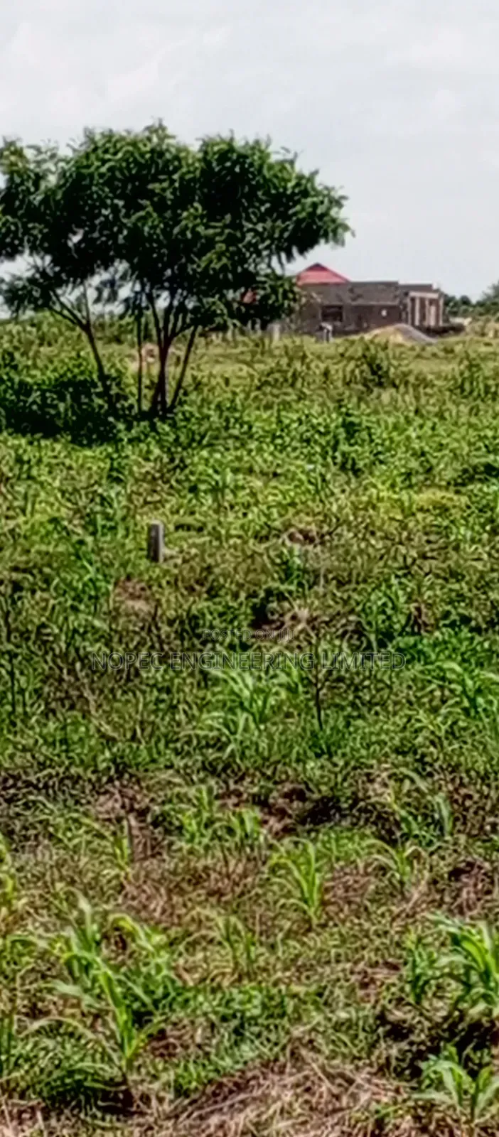 Land For Sale Just After Asutsuare Barrier