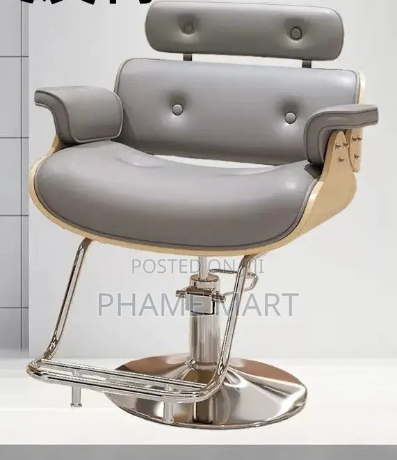Salon Chair