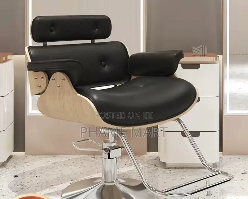 Salon Chair