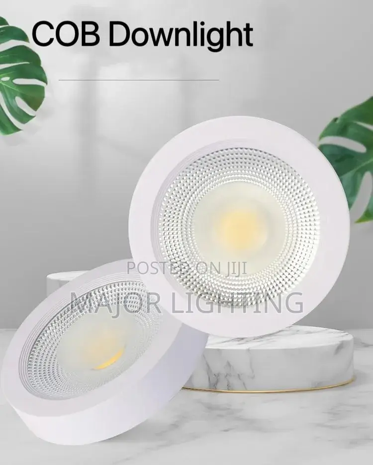 Cob Light 30 Watts