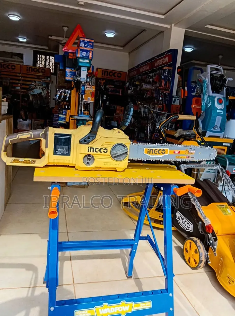 Cordless Chain Saw
