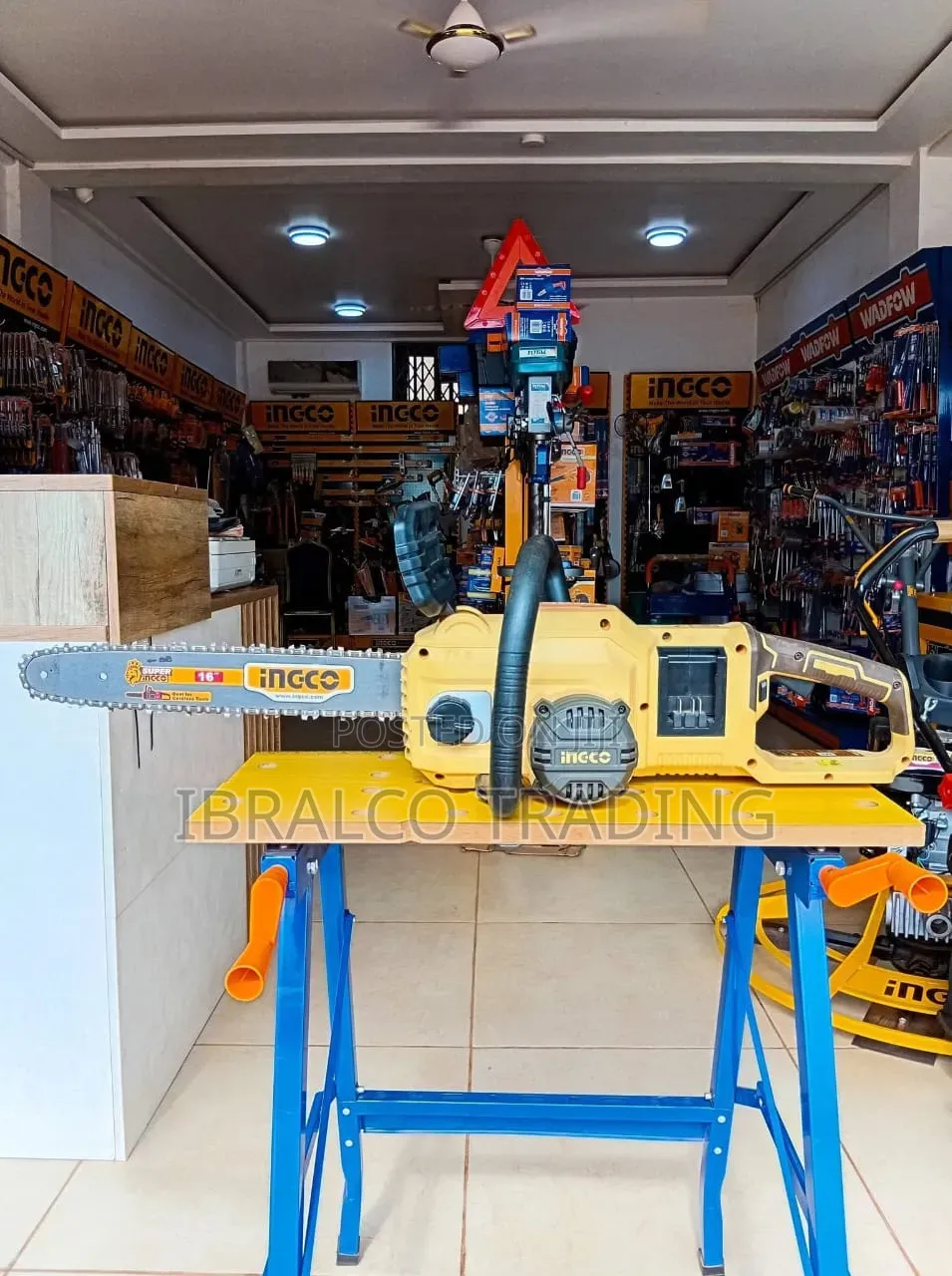 Cordless Chain Saw