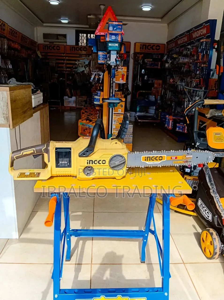 Cordless Chain Saw