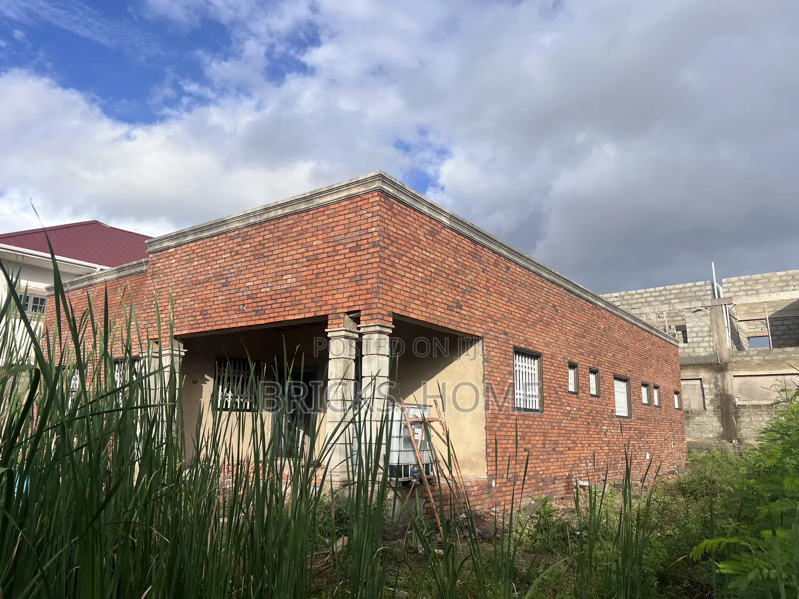 Bricks Tiles for House Cladding